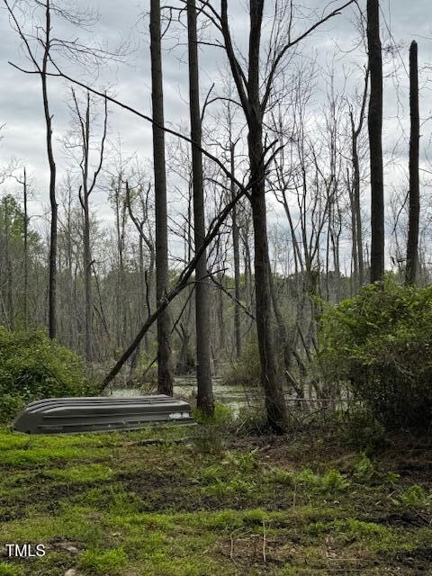 0 Beasley Rd, Benson, NC 27504 - photo 36