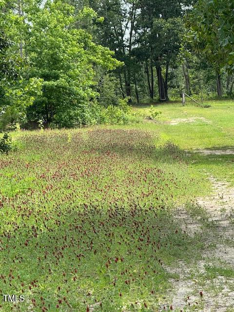 0 Beasley Rd, Benson, NC 27504 - photo 41