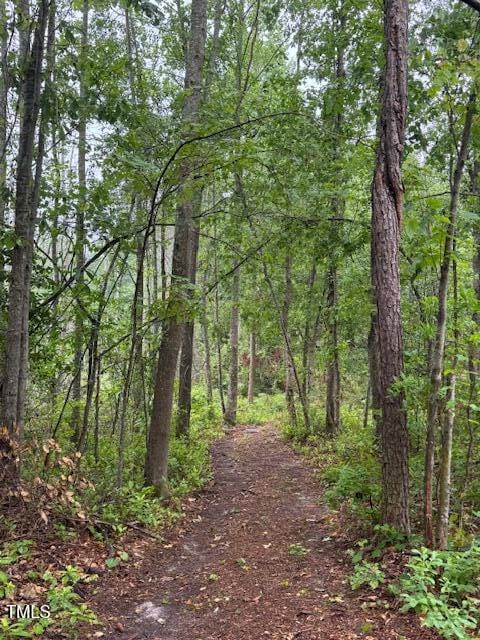 0 Beasley Rd, Benson, NC 27504 - photo 38