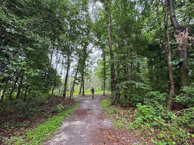 0 Beasley Rd, Benson, NC 27504 - photo 40