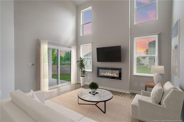 694 Union St, Home, Raeford, NC 28376 - living room featuring a high ceiling, a glass covered fireplace, and wood finished floors