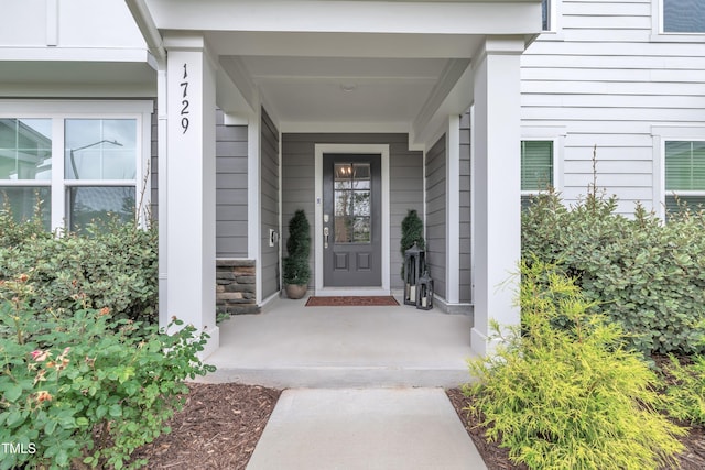 1729 Starlit Sky Ln, Cary, NC 27519 - property entrance featuring covered porch and stone siding