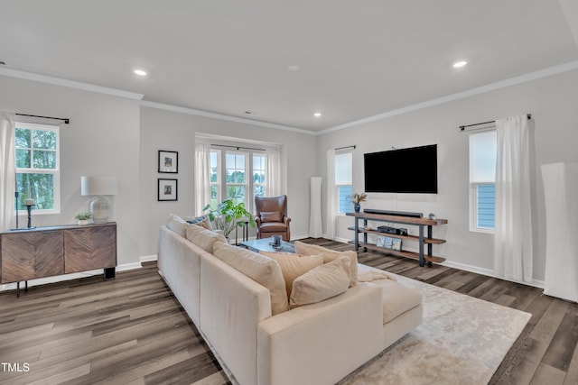 1729 Starlit Sky Ln, Cary, NC 27519 - living room featuring plenty of natural light, wood finished floors, recessed lighting, and crown molding