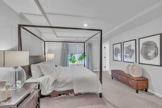 1729 Starlit Sky Ln, Cary, NC 27519 - bedroom with light carpet and baseboards
