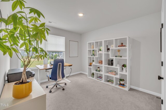 1729 Starlit Sky Ln, Cary, NC 27519 - carpeted home office featuring baseboards