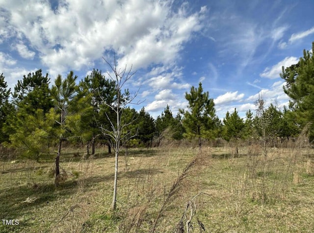 425 Dr Truitt Rd, Bear Creek, NC 27207