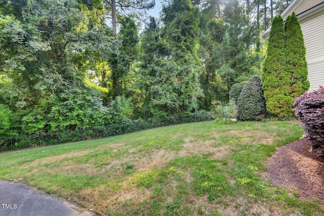 117 Sonoma Way, Chapel Hill, NC 27516 - view of yard