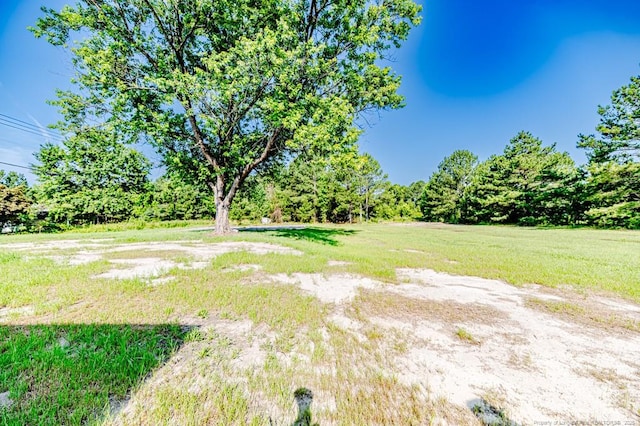 222 St Andrews Church Rd, Sanford, NC 27332 - photo 6