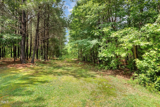 131 Abacos Ct, Clayton, NC 27520 - view of woods