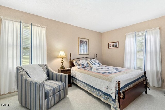 1035 Aquilla Rd, Benson, NC 27524 - photo 25
