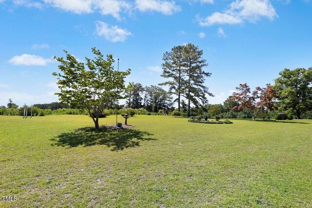 1035 Aquilla Rd, Benson, NC 27524 - photo 36