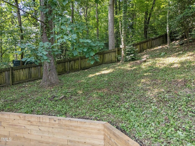 6008 Chittim Ct, Raleigh, NC 27616 - view of fenced backyard
