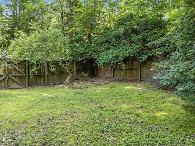 6008 Chittim Ct, Raleigh, NC 27616 - view of yard
