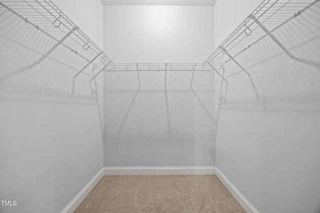 44 Supreme Dr, Lillington, NC 27546 - spacious closet with carpet
