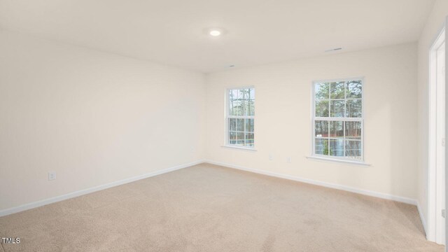 5525 Musket Ct, Raleigh, NC 27610 - photo 18