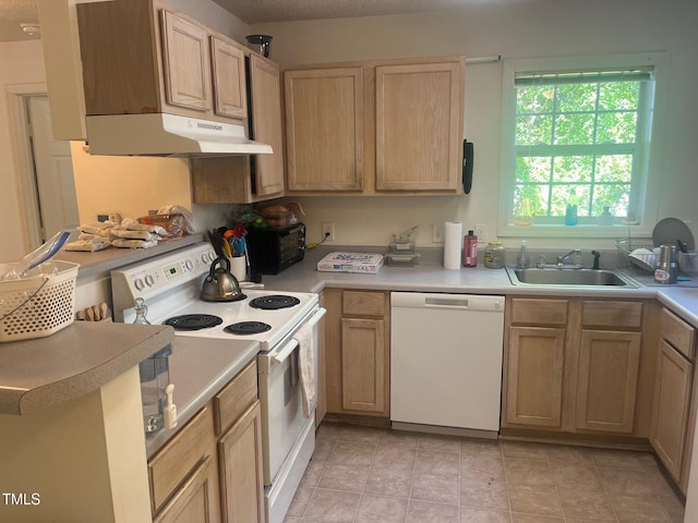 2000 University Woods Rd Unit 203, Raleigh, NC 27603 - kitchen with white appliances, a sink, under cabinet range hood, and light countertops