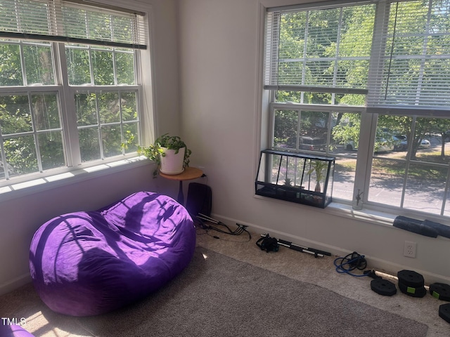 2000 University Woods Rd Unit 203, Raleigh, NC 27603 - living area featuring carpet floors, healthy amount of natural light, and baseboards