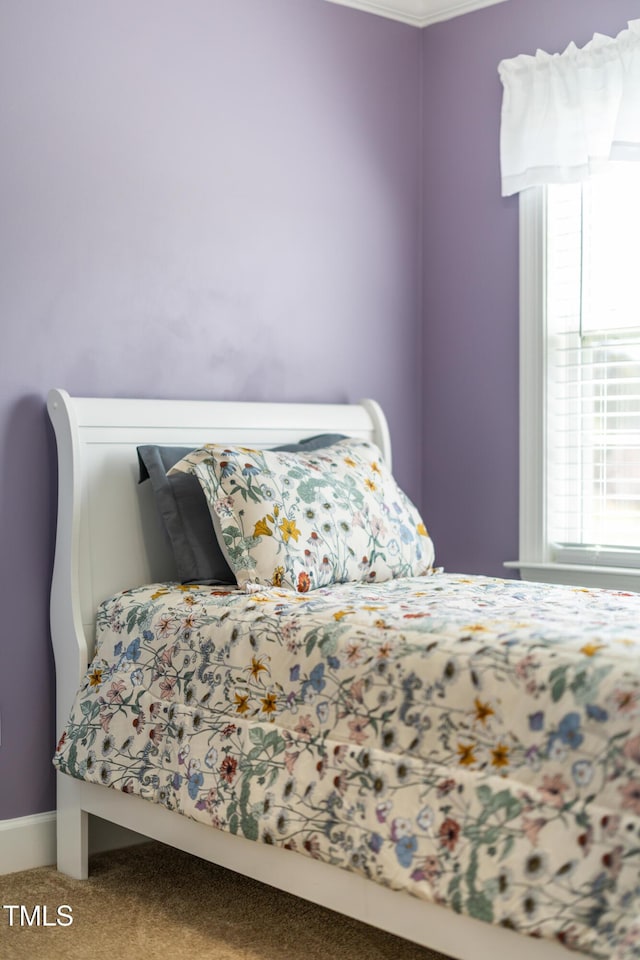 317 Hunters Creek Dr, Goldsboro, NC 27534 - view of carpeted bedroom