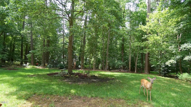12037 Deer Run, Raleigh, NC 27614 - view of green lawn with a wooded view