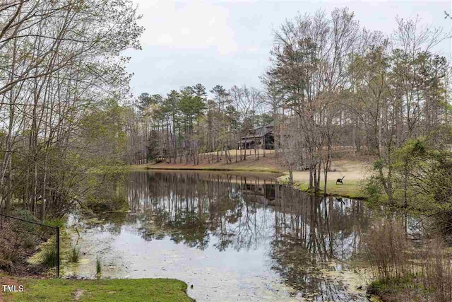 12037 Deer Run, Raleigh, NC 27614 - water view