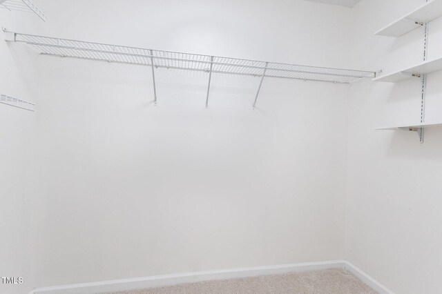 5001 Alenja Ln, Raleigh, NC 27616 - photo 41