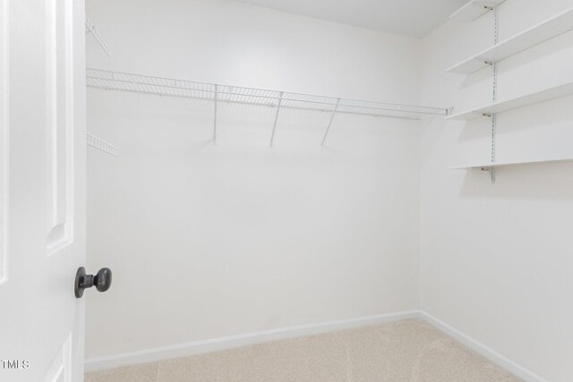 5001 Alenja Ln, Raleigh, NC 27616 - photo 42
