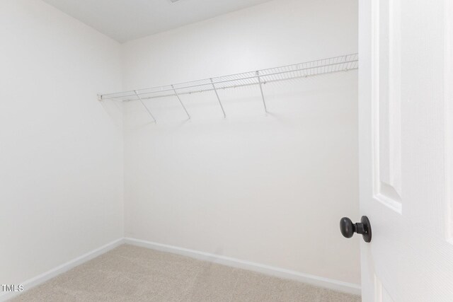 5001 Alenja Ln, Raleigh, NC 27616 - photo 43