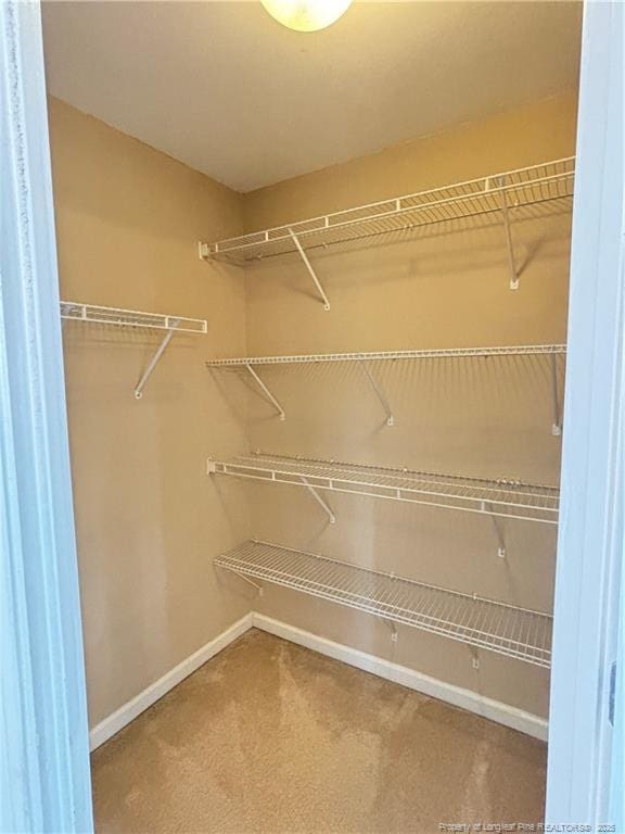 5733 Azure Dr, Hope Mills, NC 28348 - walk in closet with carpet