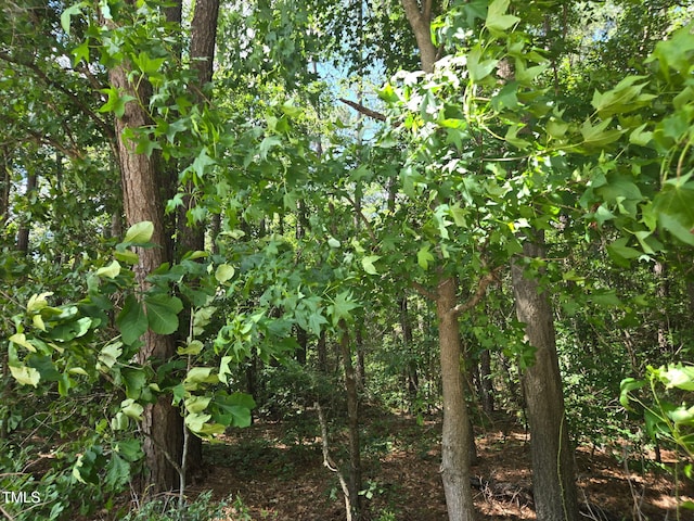 0 Lee-Johnson Rd, Dunn, NC 28334