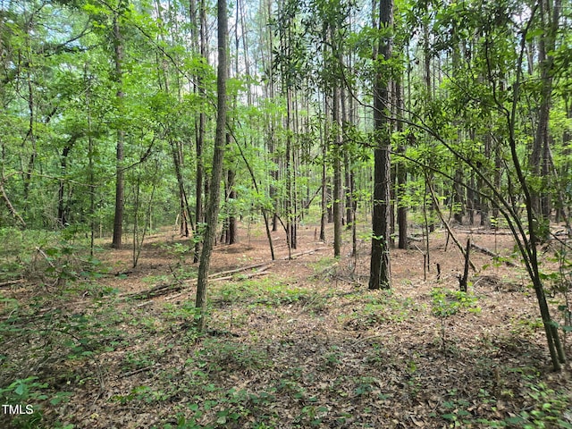 0 Lee-Johnson Rd, Dunn, NC 28334