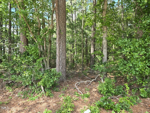 0 Lee-Johnson Rd, Dunn, NC 28334