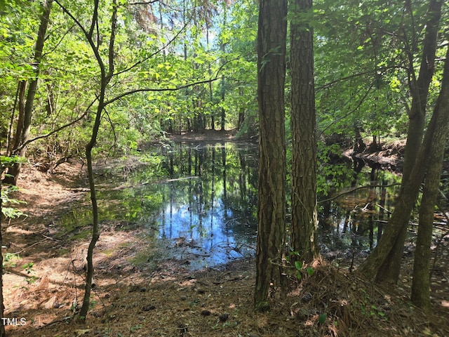 0 Lee-Johnson Rd, Dunn, NC 28334