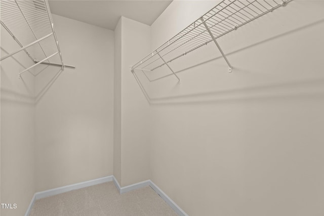 948 Consortium Dr, Raleigh, NC 27603 - photo 23
