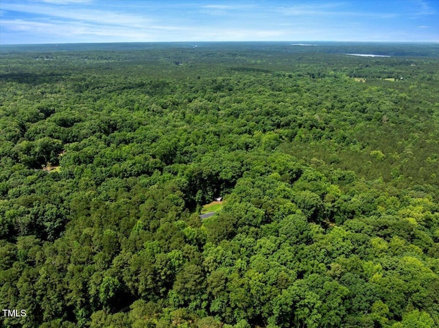 224 Oakcrest Dr, Wake Forest, NC 27587 - bird's eye view of a forest