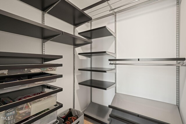 9141 Falkwood Rd, Raleigh, NC 27617 - view of spacious closet