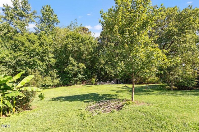 506 Currin St, Durham, NC 27703 - view of grassy yard