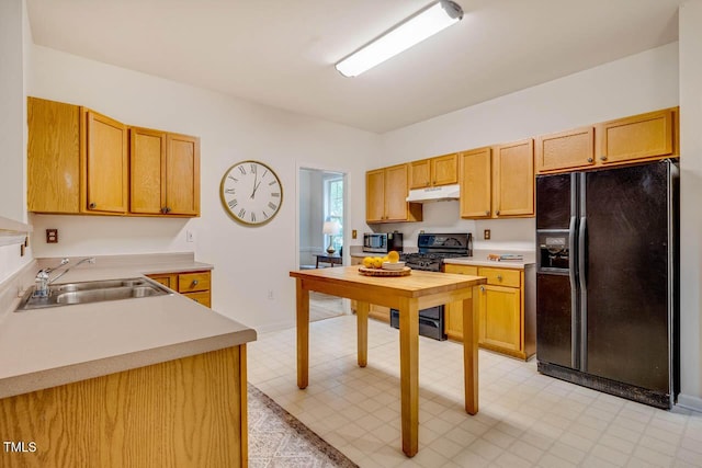 244 Sweet Bay Pl, Carrboro, NC 27510 - kitchen featuring black appliances, a sink, under cabinet range hood, light floors, and light countertops