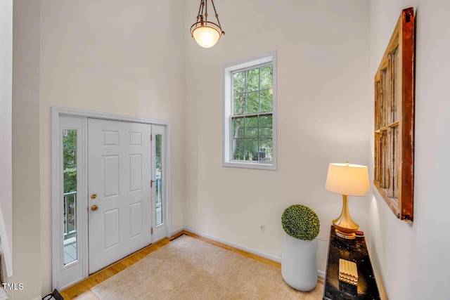 244 Sweet Bay Pl, Carrboro, NC 27510 - foyer entrance with wood finished floors and baseboards