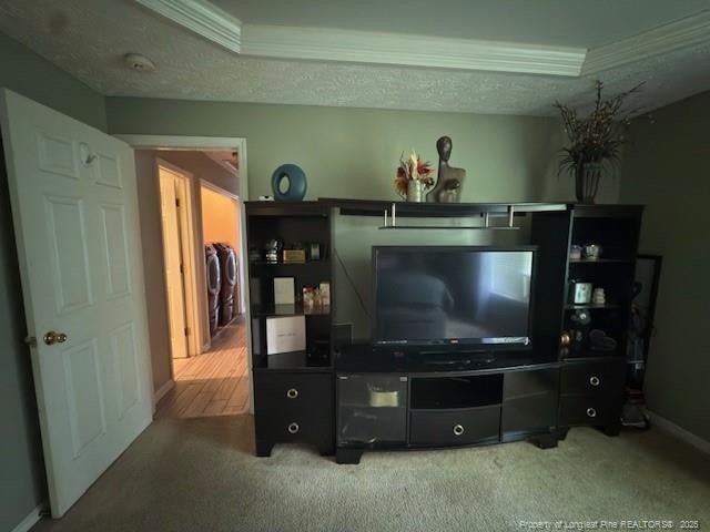 5516 Hall Glen Dr, Hope Mills, NC 28348 - carpeted living room featuring crown molding, a raised ceiling, and washer / clothes dryer