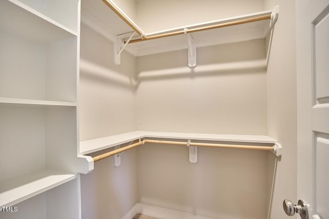 554 Beacon Ridge Blvd, Chapel Hill, NC 27516 - view of spacious closet