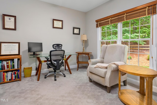 603 Edburton Ct, Hillsborough, NC 27278 - carpeted office space with baseboards
