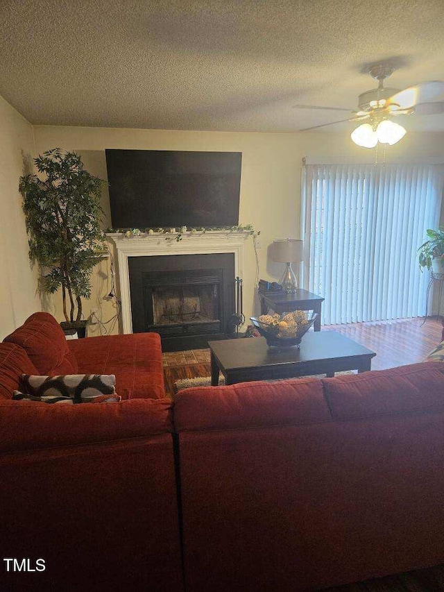4721 Mocha Ln, Raleigh, NC 27616 - photo 2