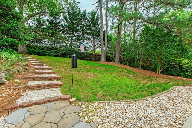 433 Rosehaven Dr, Raleigh, NC 27609 - view of grassy yard