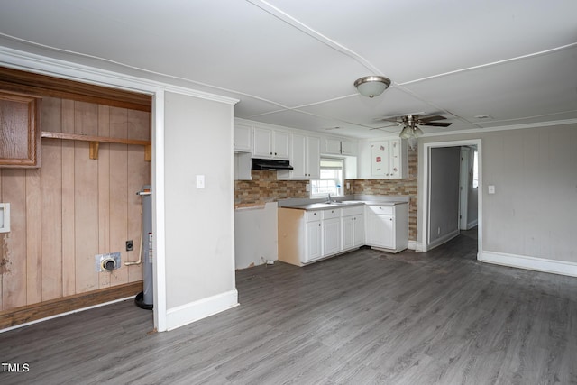 306 W Main St, Pine Level, NC 27568 - kitchen with dark wood finished floors, white cabinetry, baseboards, a sink, and ceiling fan
