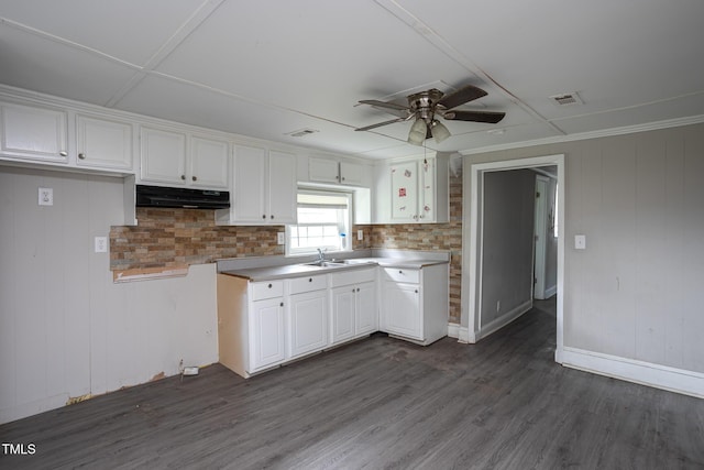 306 W Main St, Pine Level, NC 27568 - kitchen featuring white cabinets, ceiling fan, dark wood-style floors, under cabinet range hood, and a sink