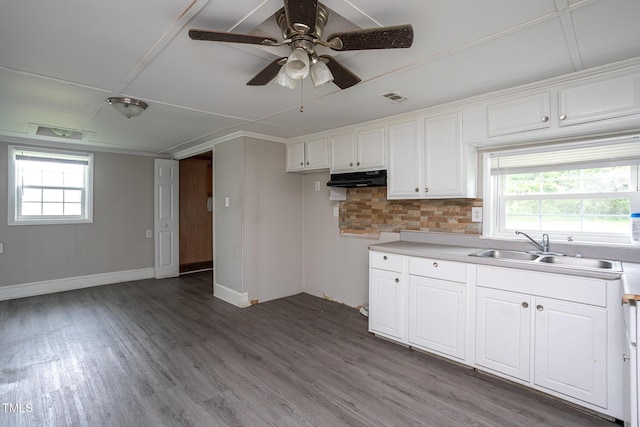 306 W Main St, Pine Level, NC 27568 - kitchen with a sink, wood finished floors, baseboards, white cabinetry, and healthy amount of natural light