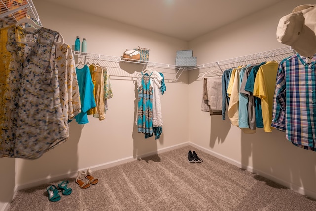 303 Enfield Dr, Carthage, NC 28327 - spacious closet with carpet flooring