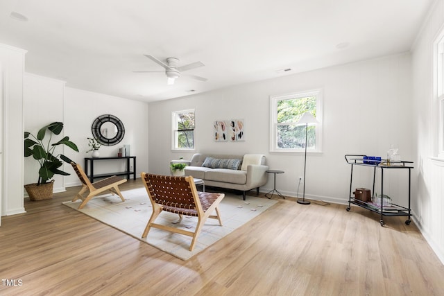 939 Clarion Dr, Durham, NC 27705 - living room featuring a ceiling fan, healthy amount of natural light, and light wood-style flooring