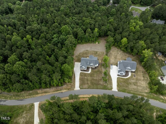 225 Whistlers Cv, Louisburg, NC 27549 - photo 45