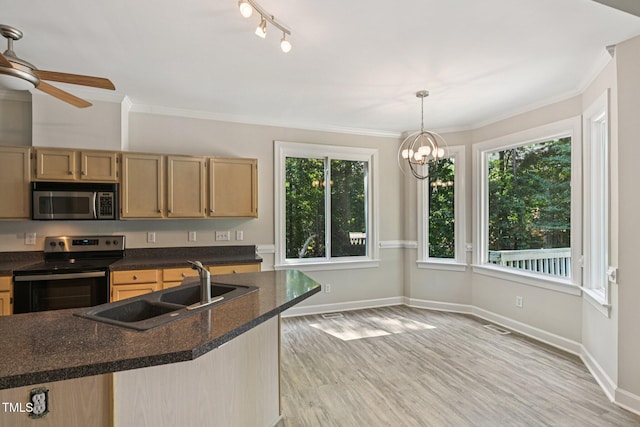 316 Trafalgar Ln, Cary, NC 27513 - kitchen featuring appliances with stainless steel finishes, healthy amount of natural light, light wood-style floors, and crown molding
